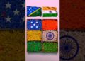 Solomon Islands 🇸🇧 vs India 🇮🇳 Rice Art 😍🔥 | Amazing Flag Art Challenge #riceart #india