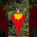 Bird flirts with his ex #comedy #music #parody of Hey There Delilah by Plain White T’s