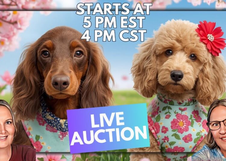 Saturday Night Mother’s Day Auction 🎉 Deals, Giveaways & Crowning Our Royalty 👑