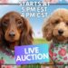 Saturday Night Mother’s Day Auction 🎉 Deals, Giveaways & Crowning Our Royalty 👑