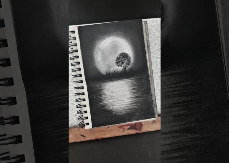 Artist X Soft pastel ♥️ #art #charcoal #softpastel #sketch #artist #shorts