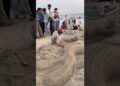 Kozhikode beach ART❤️#calicutbeach#kozhikode#tradingshorts#@NITHULWORLD#viralvideo#viral#art#artist