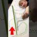 World’s Longest Squeegee Art
