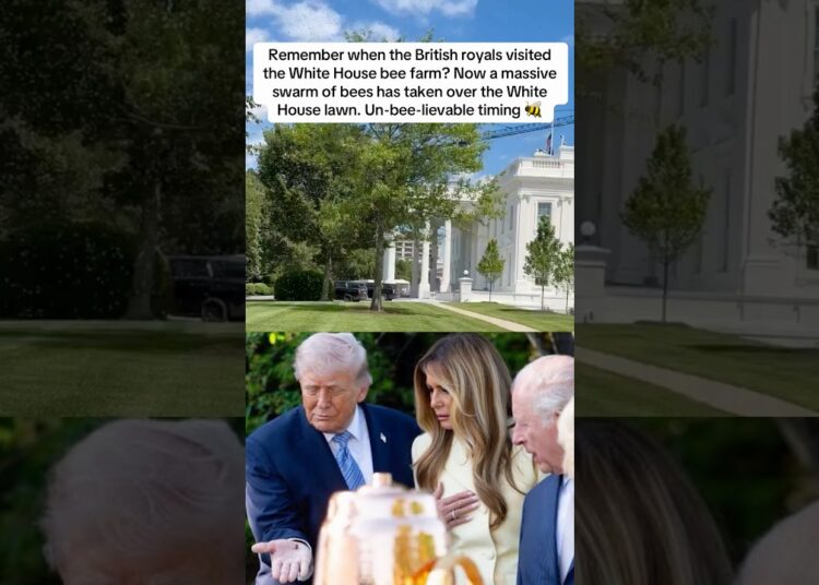 Remember when the British royals visited White House bee farm? Un-bee-lievable timing 🐝 #bees #news