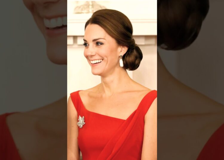 👑 The Hidden Royal Message Behind This Stunning Red Dress 🇰🇷 그저 예쁜 줄 알았던 사진 속에 숨겨진 영국 왕실의 비밀 메시지