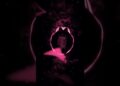 LOUCURA LETAL (ULTRA SLOWED) | #slowed #music #aveeplayer #mrfonk #phonk #phonk_music #fyp #shorts