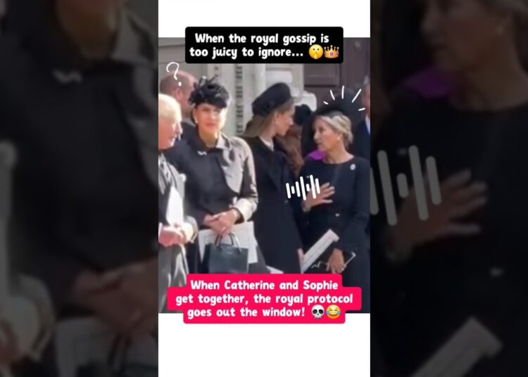 When the royal gossip is too juicy to ignore… 🤫👑#britishroyalfamily #princesscatherine #royalty