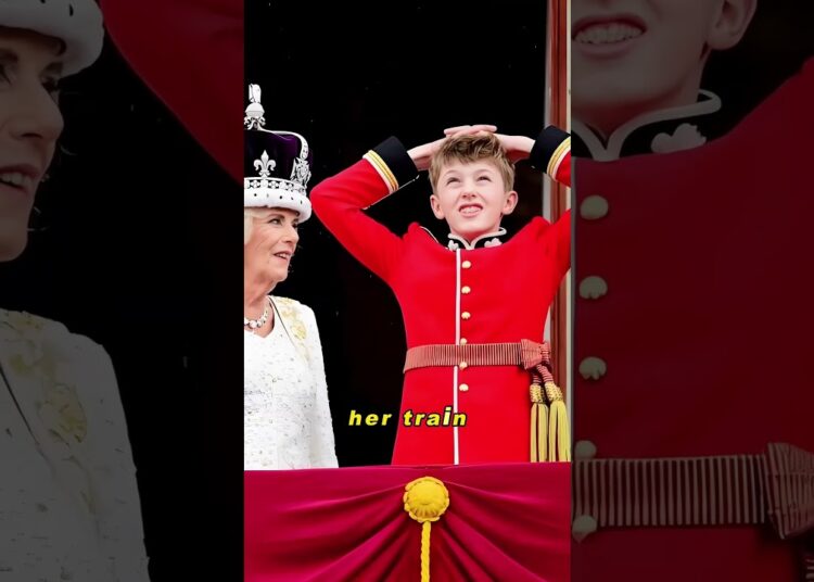 Prince William showed no mercy to Camilla. #actor #entertainment #celebrity