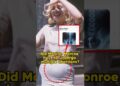 #shortsvideo #shorts #marilynmonroe  #monroe #celebrity #usa #couple