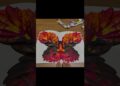 Paint#video#viralvideo#shortsfeed#shortsvideo#shortvideo#shorts#short#trend#trending#art#artist#fun