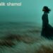 【DLEJ】Vaqtinchalik shamol ✦ 나는 잠시 머문 바람