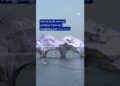 French artist JR begins inflating a giant ‘cave’ over oldest bridge in Paris | DW News
