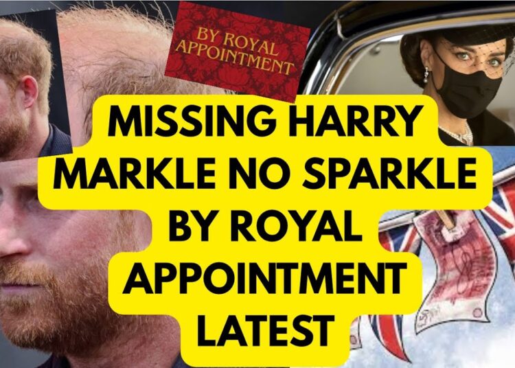 MISSING HARRY- MEGHAN & MORE ROYAL APPOINTMENT #royal #princeharry #meghanmarkle