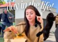 Faithlouisak spend the day with me, garden centres, gossip and Olive!