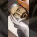 Drawing Suriya🩷 Karuppu Movie#tamil #art #drawing #shorts #trending #viral