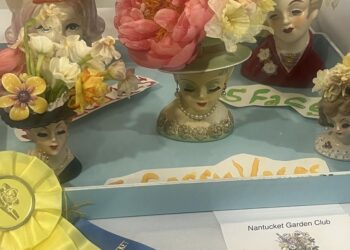 2026 Daffodil Flower Show Winners | Arts & Entertainment