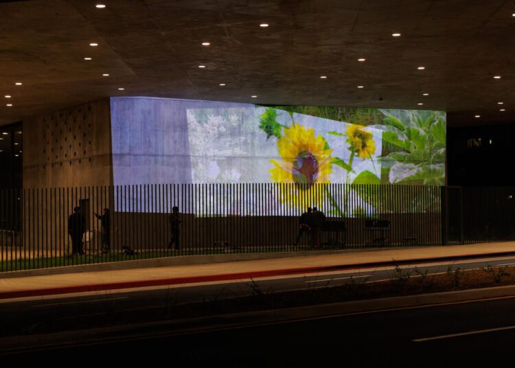A video projection of flowers on a concrete wall.
