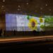 A video projection of flowers on a concrete wall.