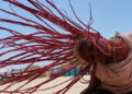 A sun-baked Senegal village erupts in color for one of Africa’s biggest dance festivals