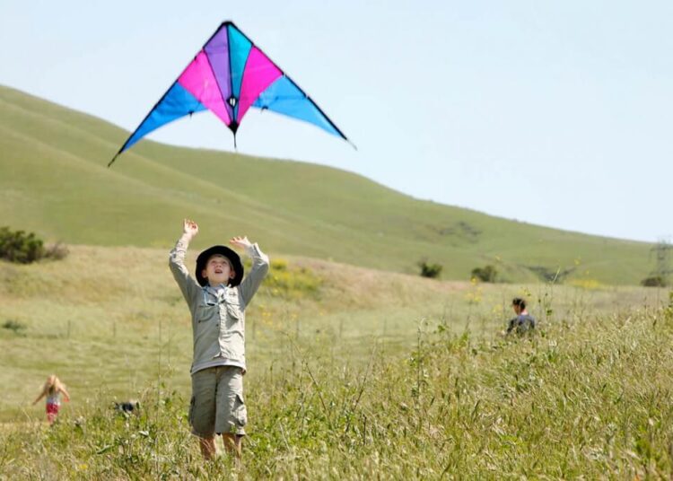 Arts-Entertainment Source: Lynch Canyon kite festival to take flight – Times Herald Online