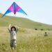 Arts-Entertainment Source: Lynch Canyon kite festival to take flight – Times Herald Online