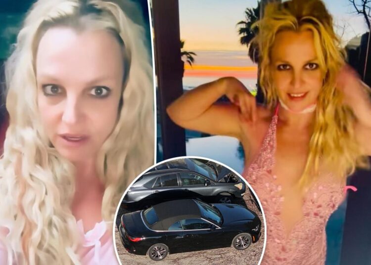 Britney Spears listed drugs taken before DUI arrest as she boasted she could drink '4 bottles of wine'
