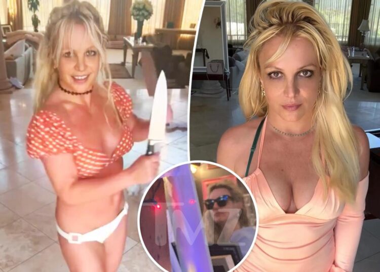 Britney Spears' rep addresses singer barking, wielding knife at LA restaurant