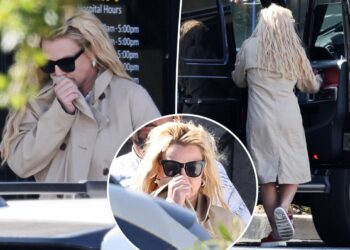 Britney Spears tries to lay low hours after erratic 'outburst' caused 'nuisance' at LA restaurant