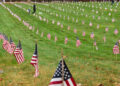 Flags decorate every grave at the National Cemetery in Bourne after a large group turned out to place a flag on each of the headstones in observance of Veteran's Day. Photo taken on November 8, 2025