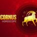 Capricorn Daily Horoscope Today (Dec 22 - Jan 19), May 15, 2026: Will Increase Interaction with Peers, Handle Family Matters with Ease