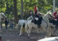Chaos erupts near Buckingham Palace after King's horse breaks loose | Royal | News