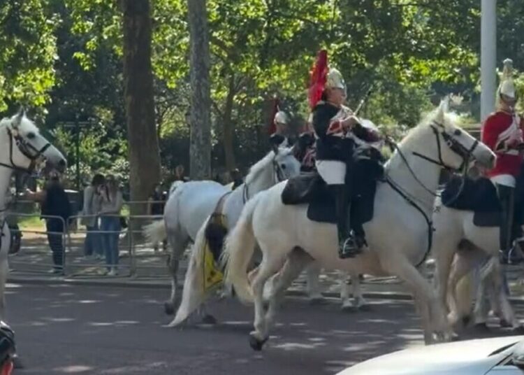 Chaos erupts near Buckingham Palace after King's horse breaks loose | Royal | News