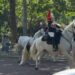 Chaos erupts near Buckingham Palace after King's horse breaks loose | Royal | News