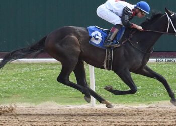 Cherokee Casino Will Rogers Downs wraps 2026 thoroughbred season | Entertainment