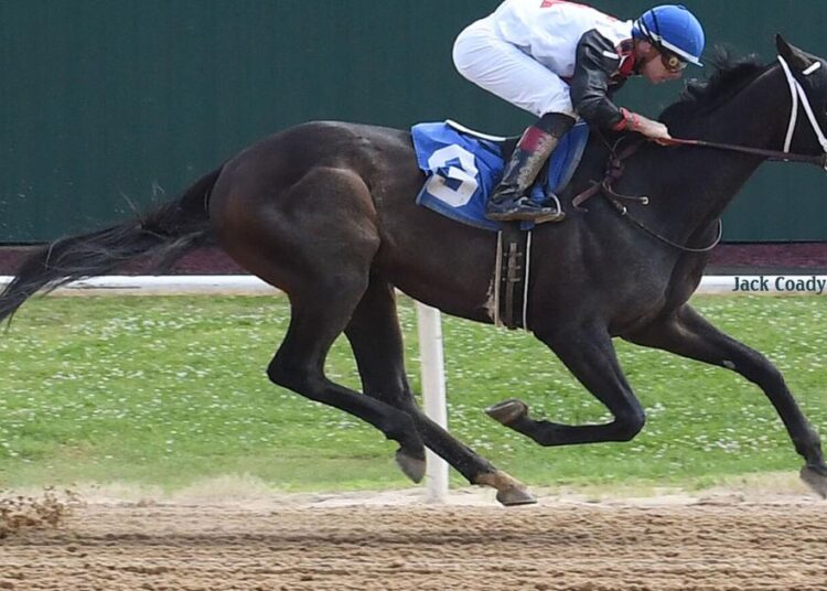 Cherokee Casino Will Rogers Downs wraps 2026 thoroughbred season | Entertainment