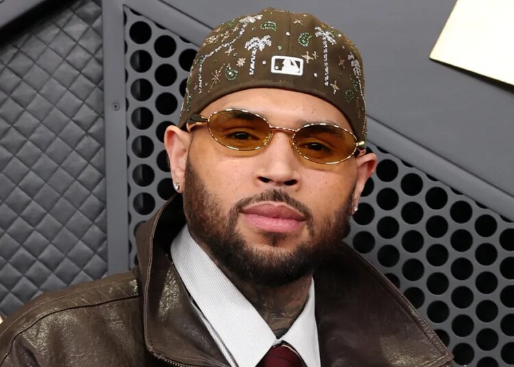 Chris Brown Slams Critics Of His New Album, Zara Larsson