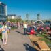 People gathering on the lawn for a concert.