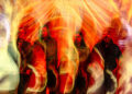 Stereogum home