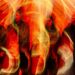 Converge Unleash New Song "Doom in Bloom"