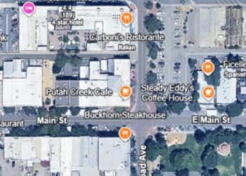 Council approves Entertainment Zone; review set for fall | City Hall