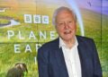David Attenborough surprise connection to Hollywood star as he shares regret - Celebrity News - Entertainment
