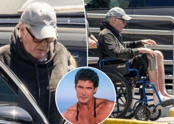 David Hasselhoff sparks concern as he's seen in wheelchair