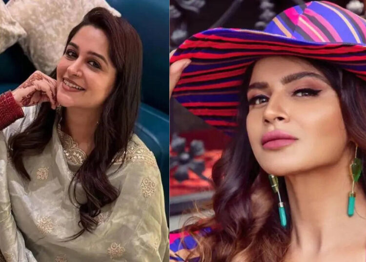 Dipika Kakar,Gauri Pradhan to Aashka Goradia:TV celebs who are successful entrepreneurs