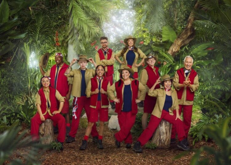 Does I'm A Celebrity, Get Me Out Of Here have a diversity issue?