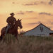 Cole Hauser as Rip Wheeler in Dutton Ranch.