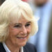 Queen Camilla shaped how the monarchy handles reputational crises, a royal author claimed.Mega