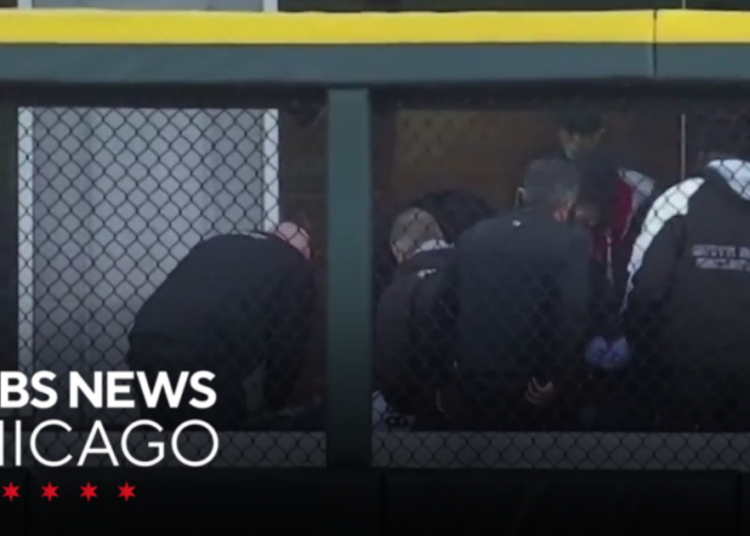Fan falls into bullpen during White Sox-Royals game at Rate Field