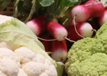 Food truck and farmers market among 9 weekend Galesburg area events
