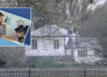 Frogmore Cottage
