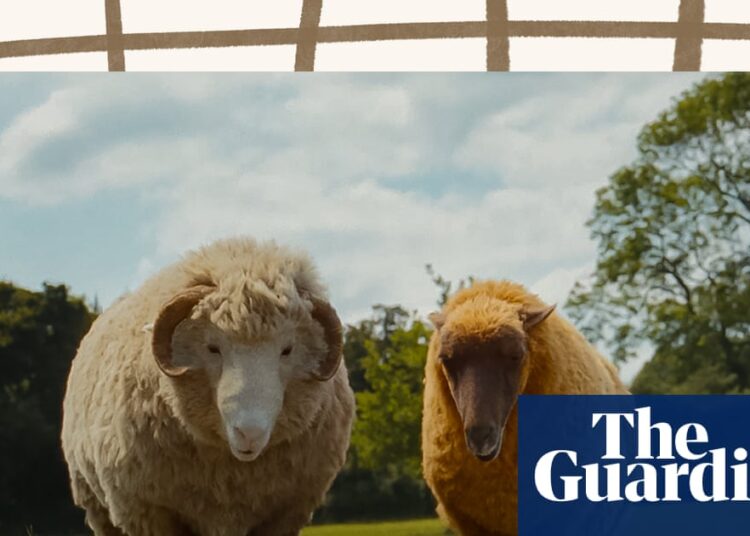 From The Sheep Detectives to Rivals: your complete entertainment guide to the week ahead | Culture
